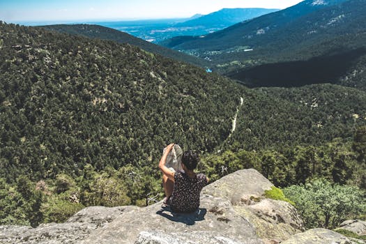 Hikers using a map in a scenic landscape