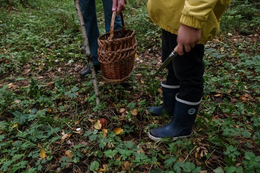 sustainable camping practices