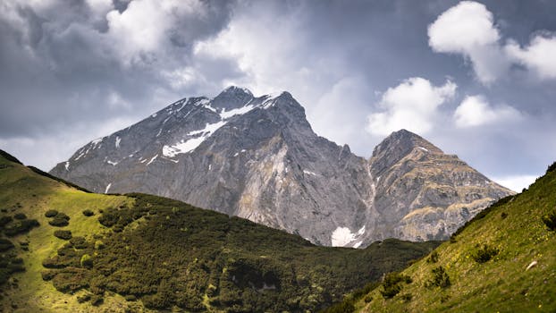scenic view from a hiking trail